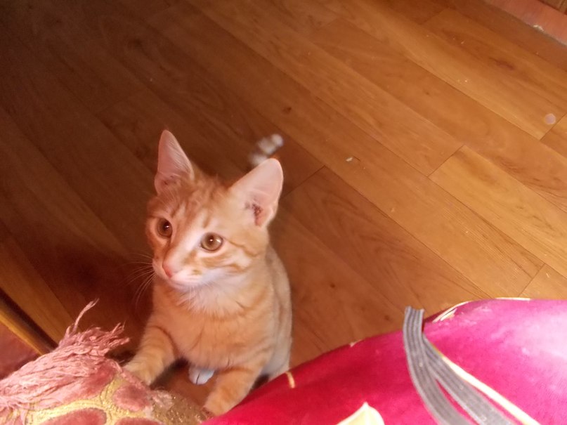 Татьяна Четверикова | 