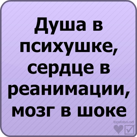 №70, Кира Олеговна №70, Кира Олеговна
