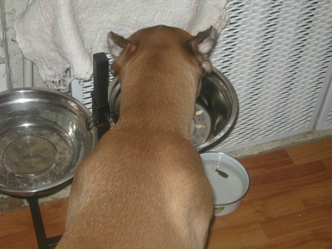 Ольга Печенко | Санкт-Петербург