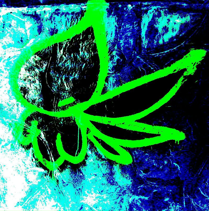 Таня Перцова | Киев