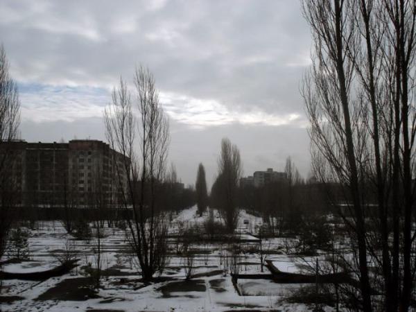 №173, Райво Штулберг №173, Райво Штулберг