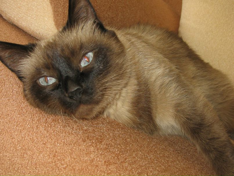 Марина Гроздовская ♥ Sambuca | Петропавловск-Камчатский