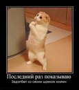 Фотография Настя Юдина