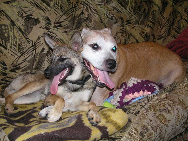 Руслана Гринькова | Киев