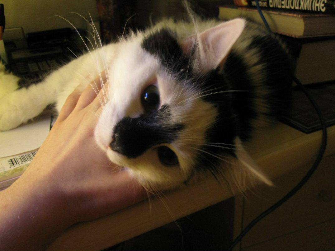 Яна Коркина | Санкт-Петербург