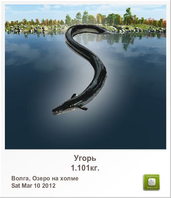 Елена Чебан | Санкт-Петербург