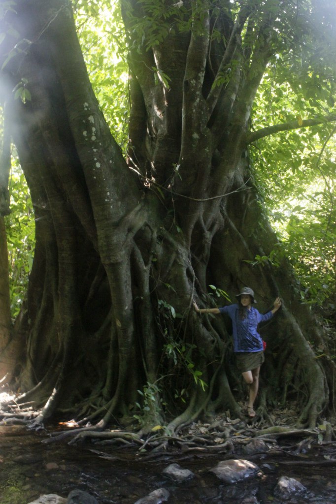 Юлия Вашталова | Санкт-Петербург