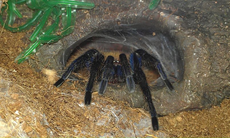 Ольга Иванова | Москва