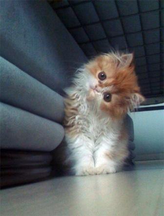 Евгения Потёмкина | Пермь