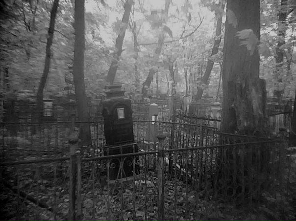 №36, Ника Ряжских, 33 года №36, Ника Ряжских, 33 года