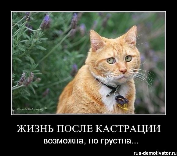 №4, Александр Соловьев №4, Александр Соловьев