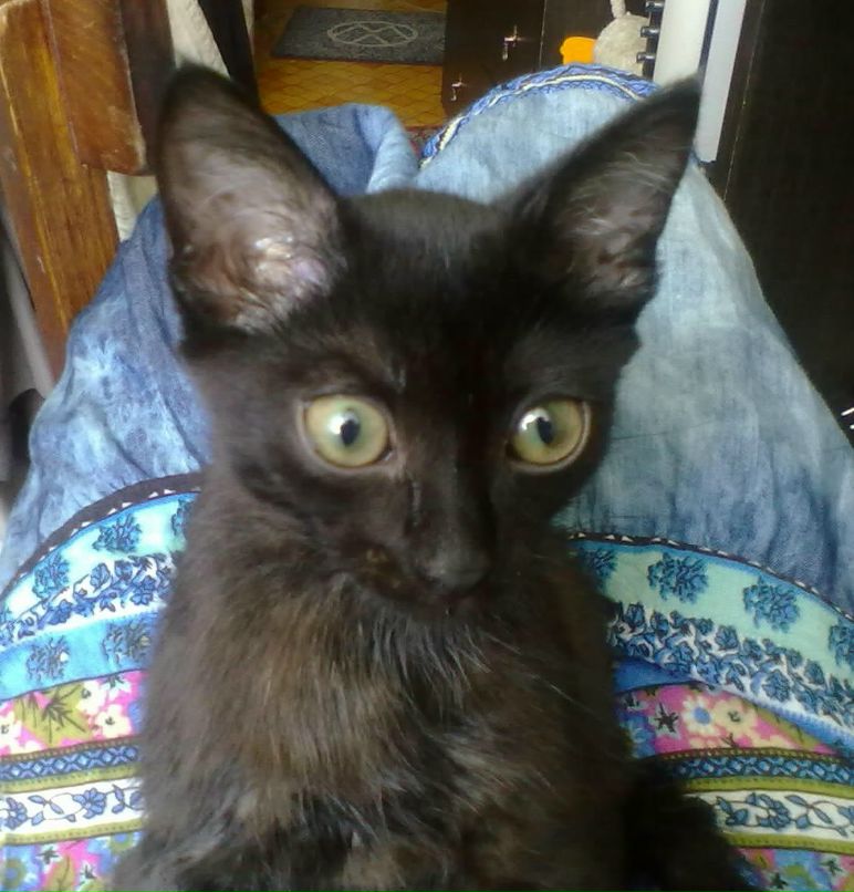 Наталья Блинова | 