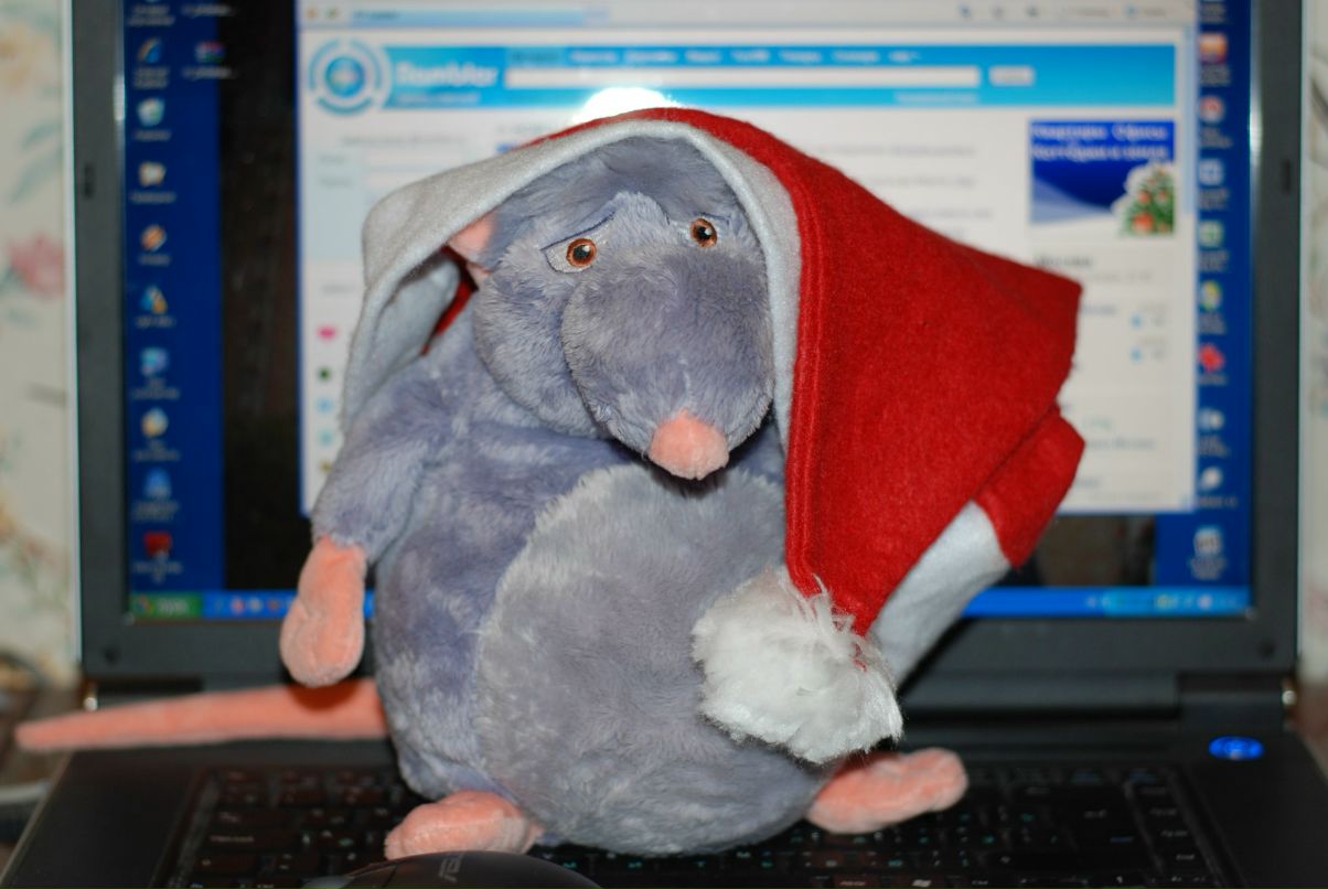 Иван Козлов | Москва