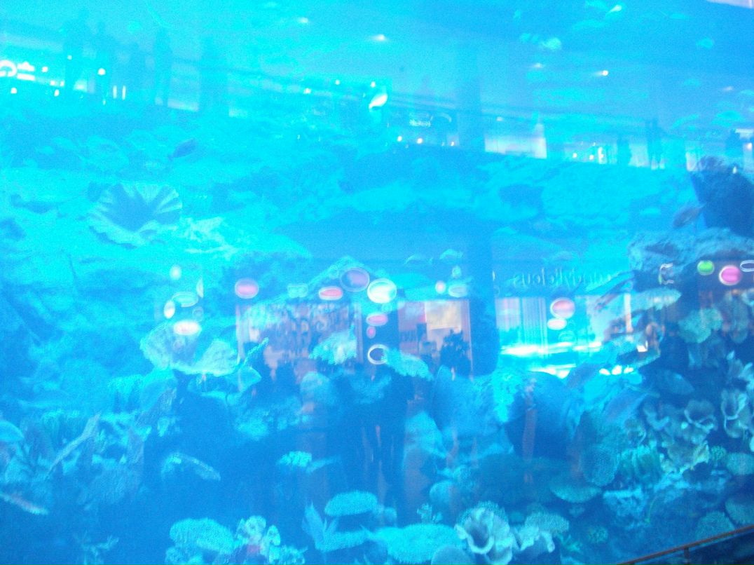 Наталия Метельская | Киев