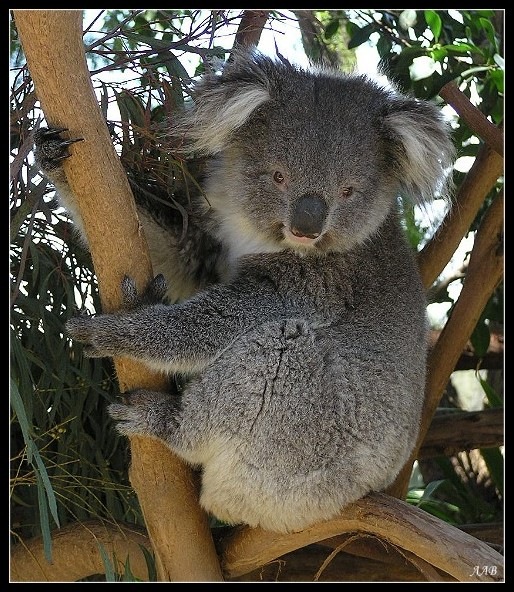 №87, Ольга Полозова, Калининград, Россия №87, Ольга Полозова, Калининград, Россия