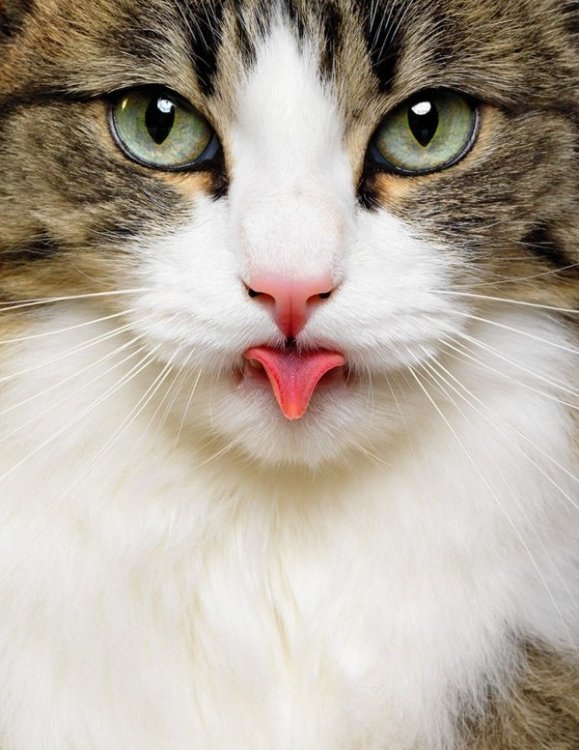 Витёк Мотренко 5<0ut | Керчь