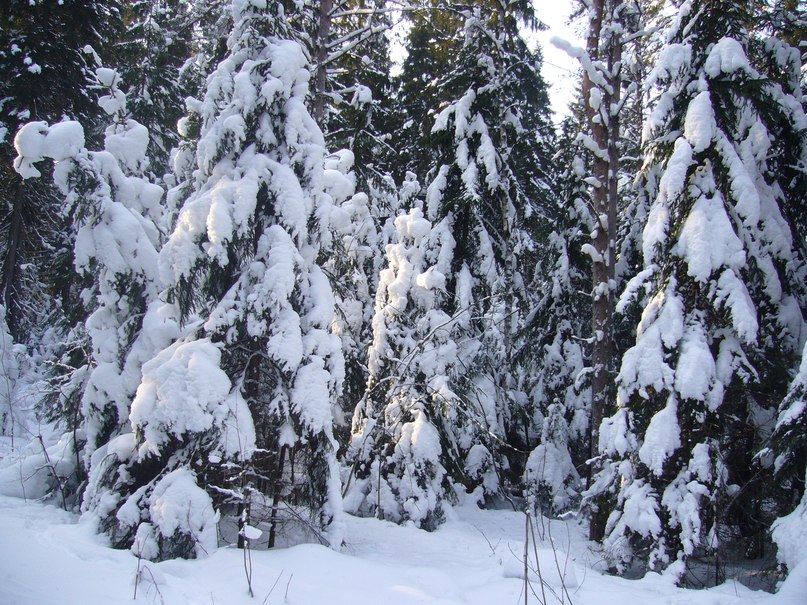 Филипп Козляков | Санкт-Петербург