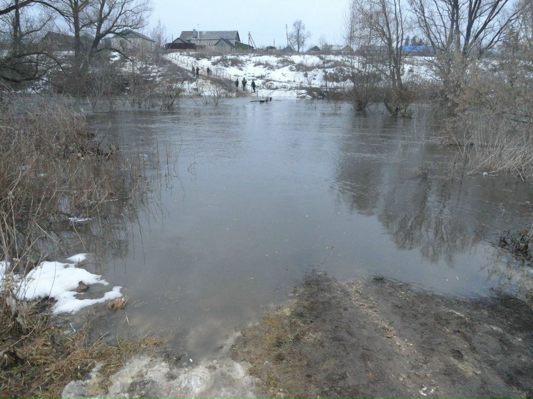 Анастасия Кузьмина Zaya079 | Липецк