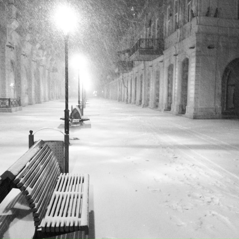 Тамилла Алиева | Москва