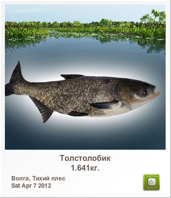 Антон Инкогнито இ ♥קƹ®Ϛ♥ईツ | Ярославль