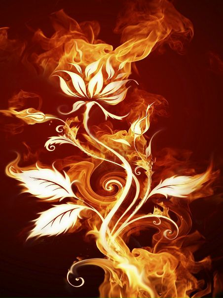 №22, Жека Евдокимов, Донецк №22, Жека Евдокимов, Донецк