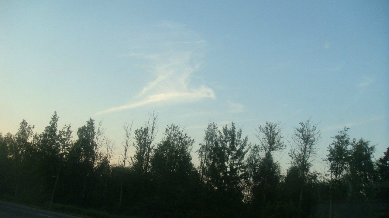 Лилиана Воробьёва | Кириши