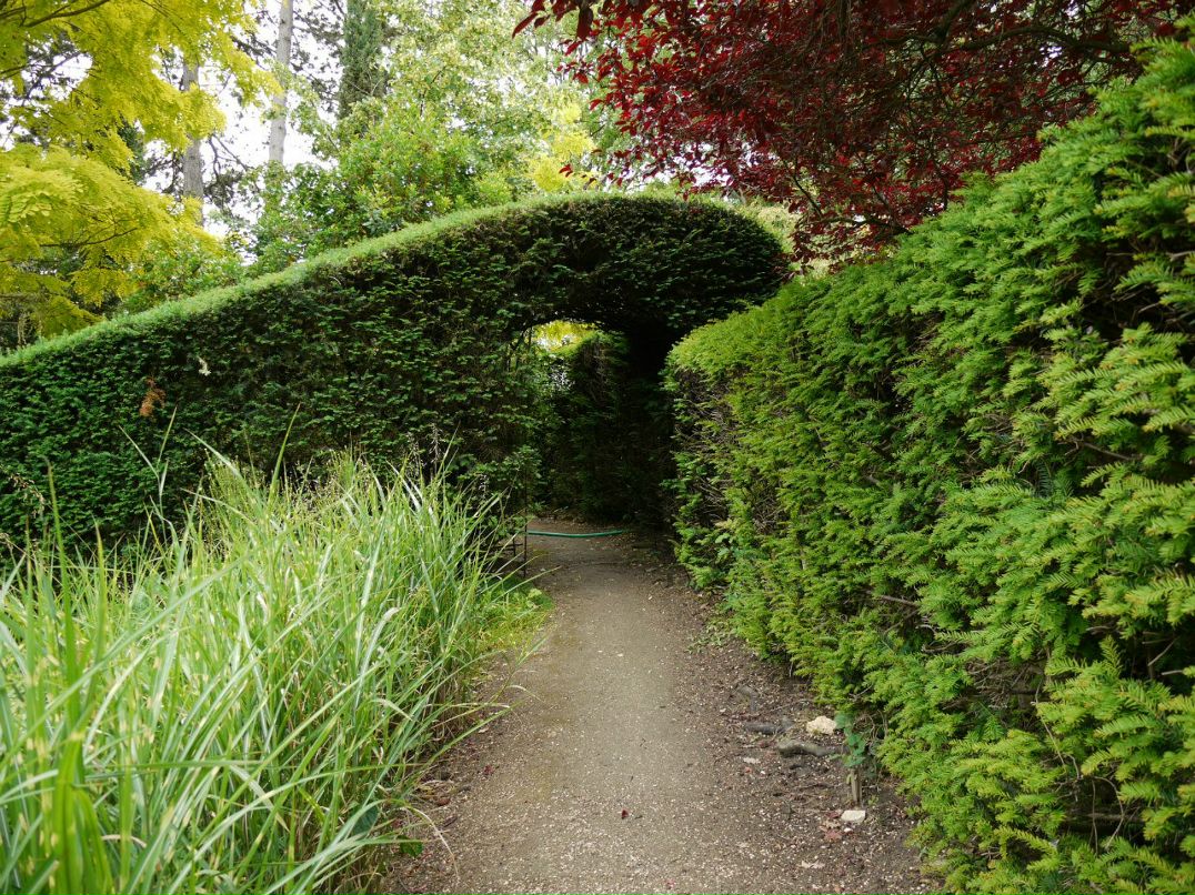 Елена Федоткова HelLenka | Москва