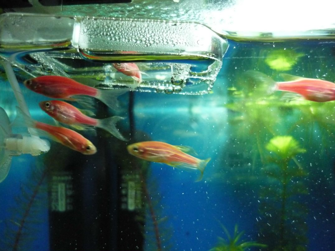 Максим Иванов | Одесса