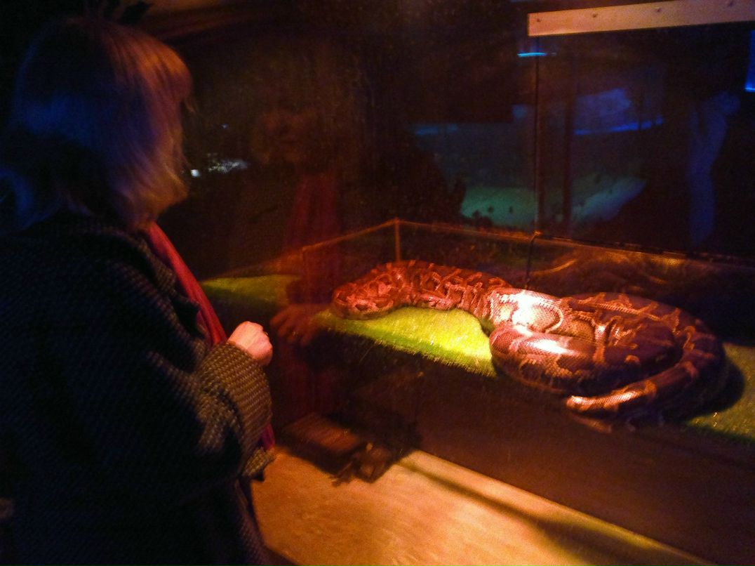 Юлия Галкина | Москва