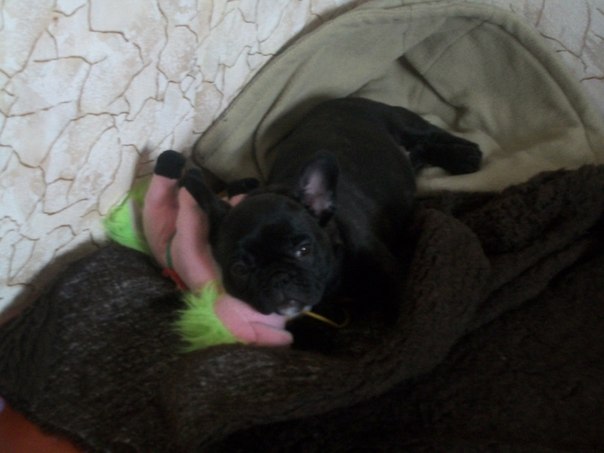 №30, Михаил Прохоров, 46 лет, Харьков №30, Михаил Прохоров, 46 лет, Харьков