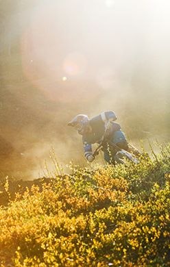 Даниил Мищерин | 