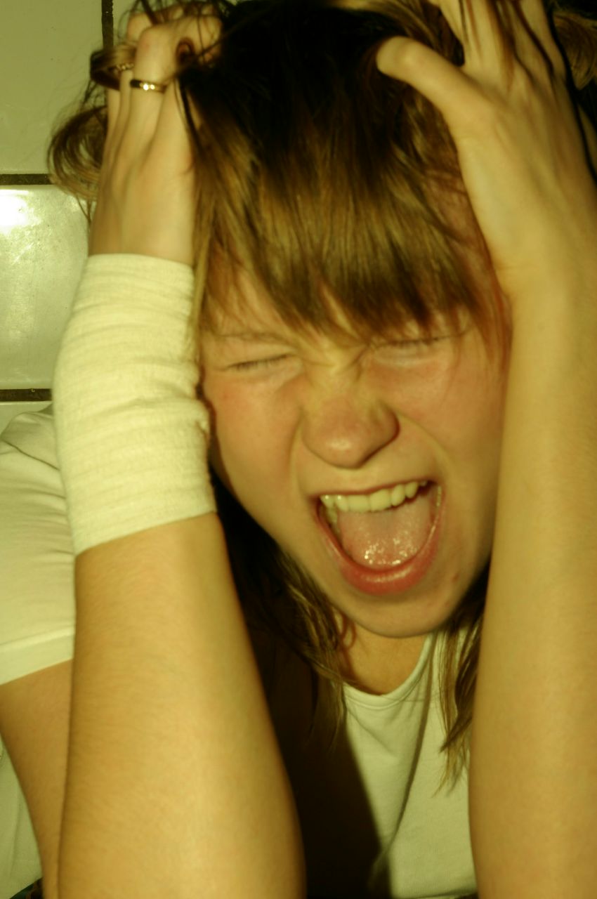 Psilocybe Pelliculosa | Санкт-Петербург