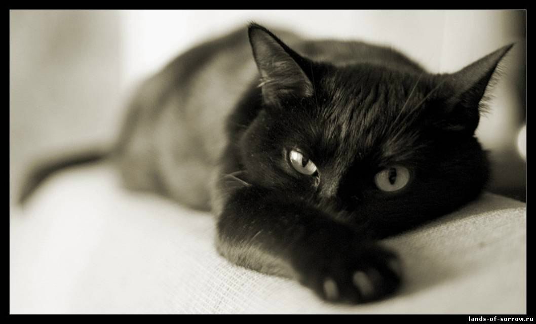 Анжела Волошина | Красноярск