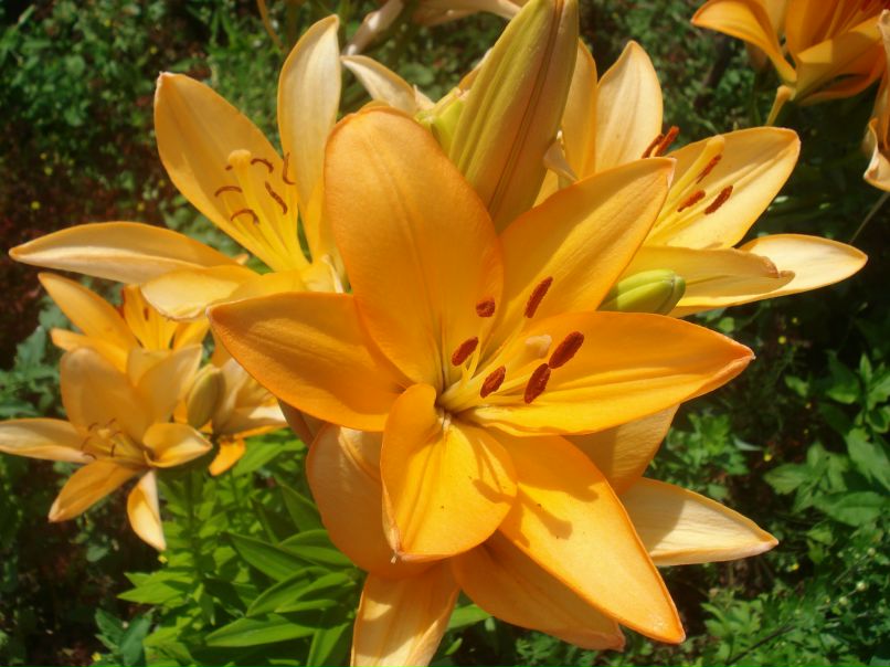 Ирина Москаленко | Москва