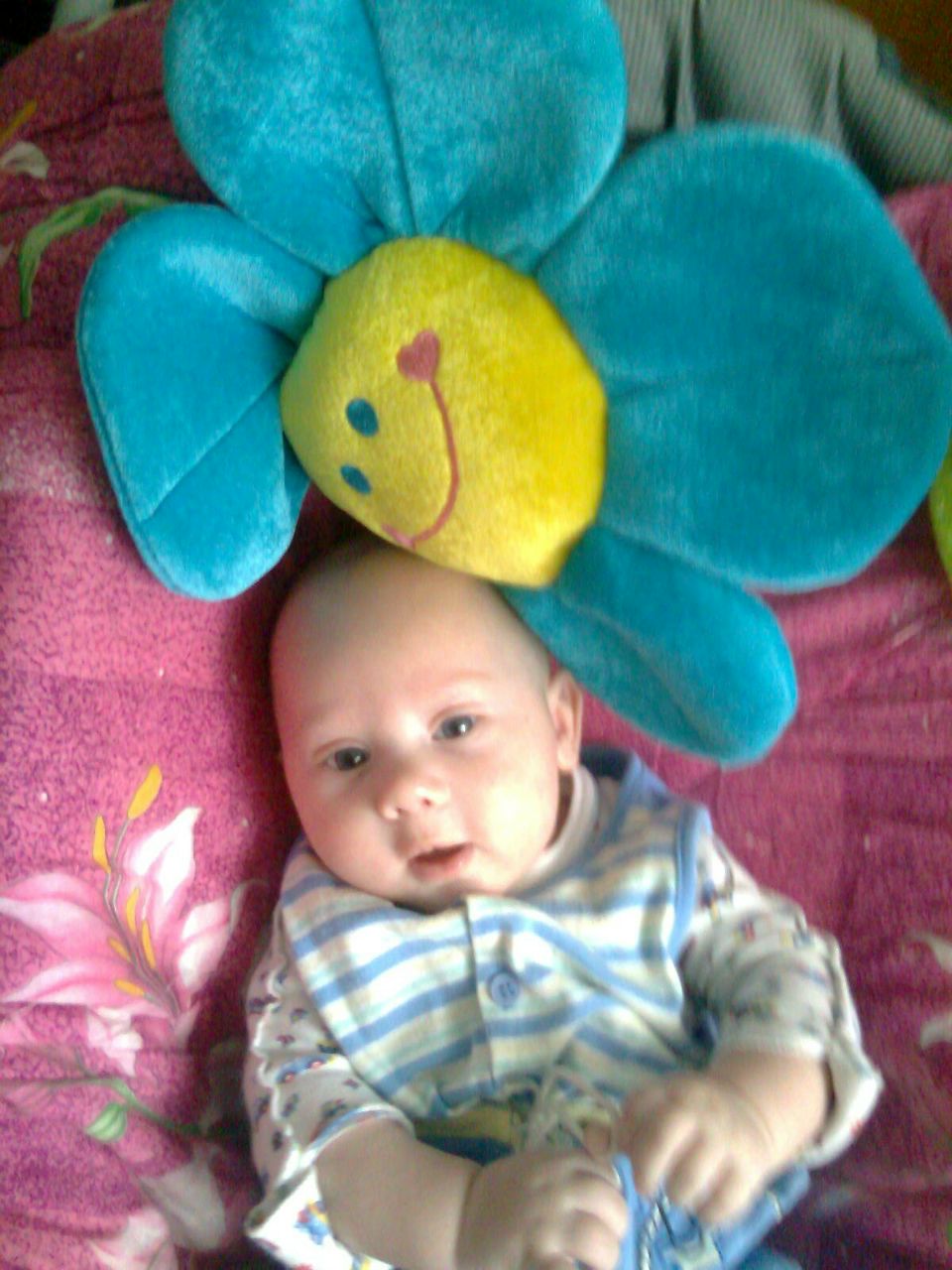 Сашка Смелова | Минск