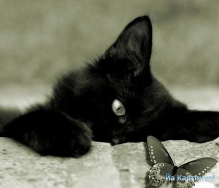 Юлия Полянина Анатольевна | Самара