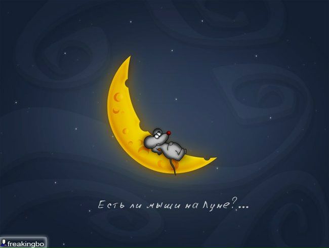 №3, Татьяна Петрова, 33 года, Новосибирск №3, Татьяна Петрова, 33 года, Новосибирск