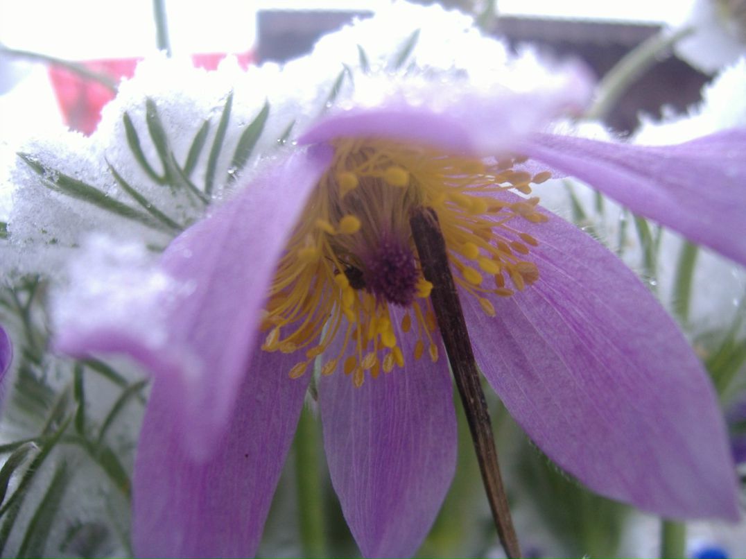 Татьяна Дубовец | Минск