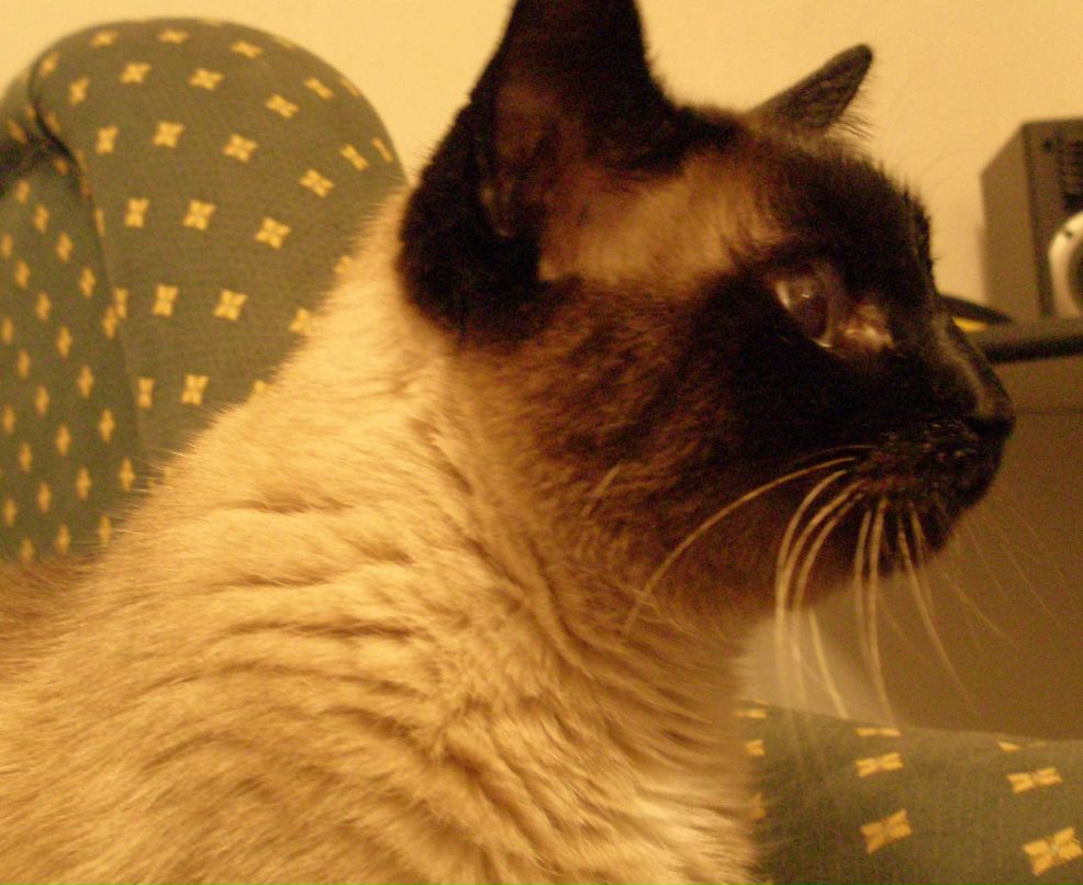 Иван Лазарев | Москва