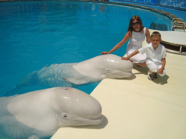 №39, Александр Бугаёв, 27 лет, Кривой Рог №39, Александр Бугаёв, 27 лет, Кривой Рог