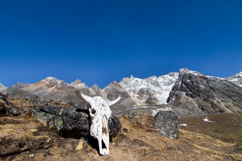 Andrey Stvolinsky | Москва