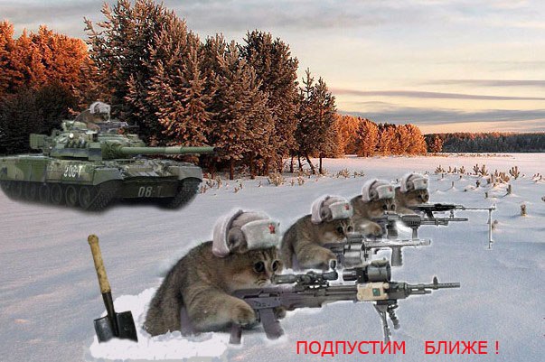 Сергей Вольский | Санкт-Петербург