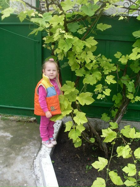 №79, Ира Голдес, Городок №79, Ира Голдес, Городок