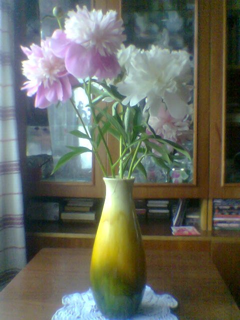 Светлана Павлова | 