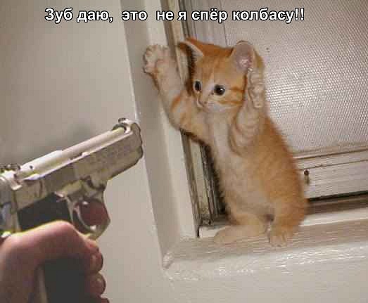 №2, Дмитрий Крючков №2, Дмитрий Крючков