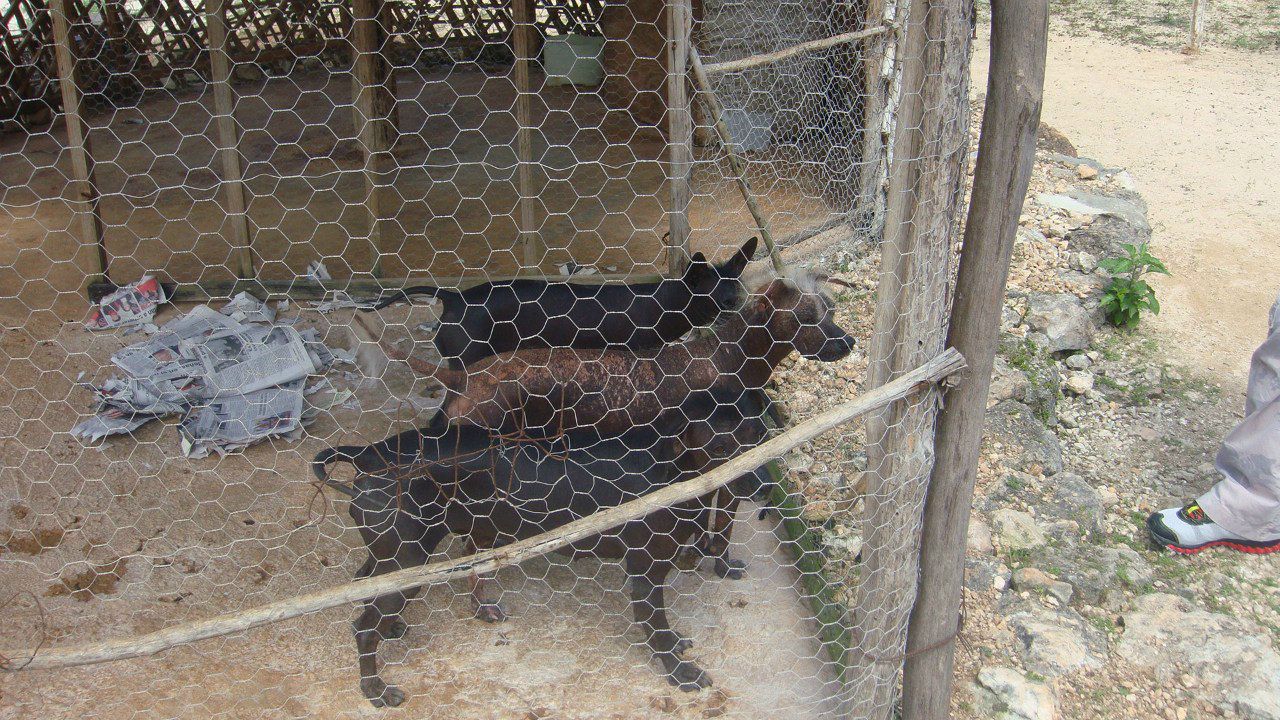 Георгий Полухин | Санкт-Петербург
