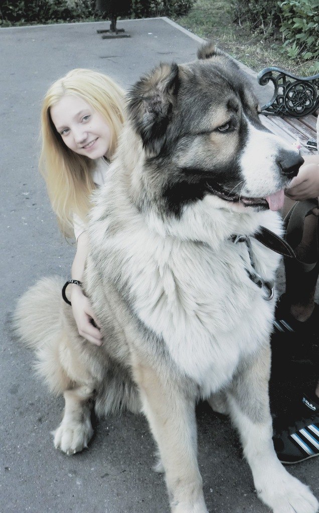 Олег Сузуков #11 ⎷_Swarovski_⎷. | Москва