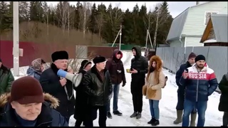 В Одинцово рубят Бреховский лес. Сход жителей