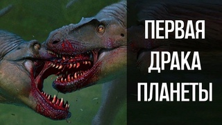 Самый древний пример внутривидовой борьбы