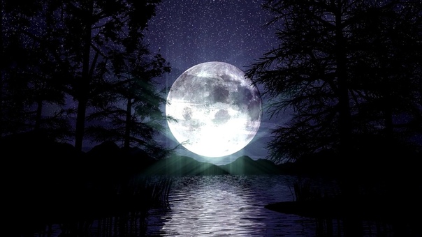 moonlight shadow ( RUS) автор rus. Кавера Лукоморье, монтаж dino